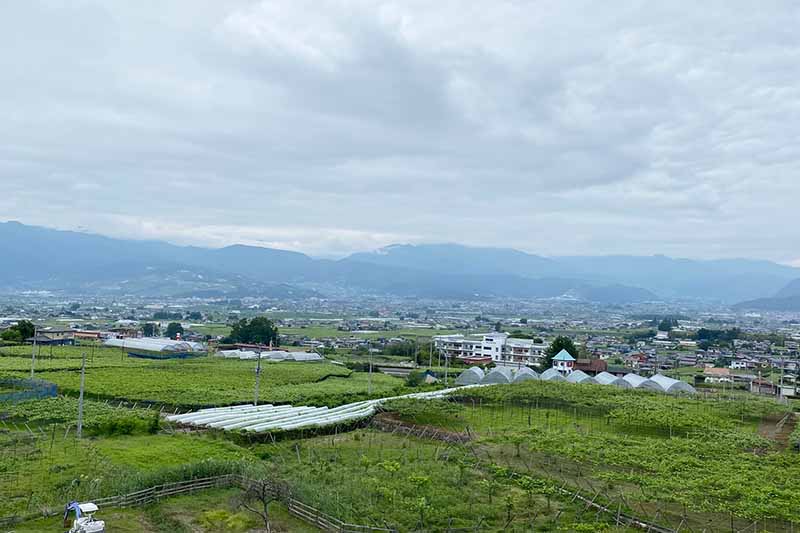 勝沼日帰り旅マルキワイナリー