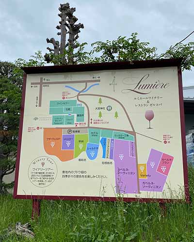 勝沼日帰り旅ルミエールワイナリー