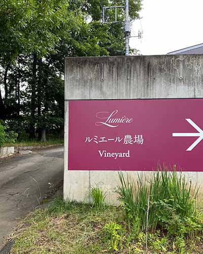 勝沼日帰り旅ルミエールワイナリー