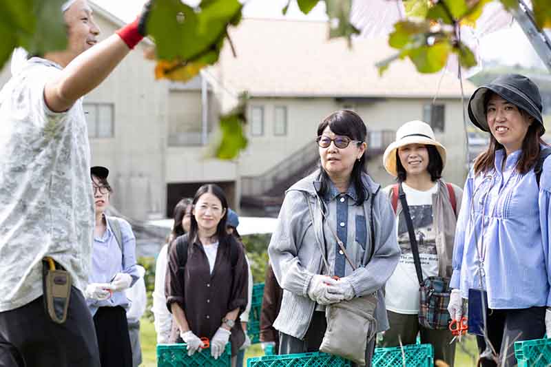 komaki-winery-picnic